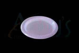 10 1/4 inch 26cm Round Disposable Plastic Plate-AP102530