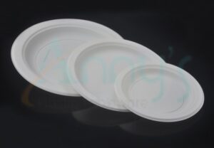 Biodegradable Disposable Cornstarch Plate-ABPT003
