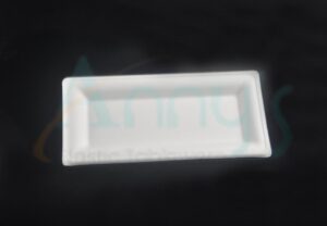 Rectangular Biodegradable Disposable Bagasse Appetizer Trays-BGRP26