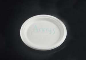 9″ Round Bagasse Disposable Biodegradable Plate-BGYP9
