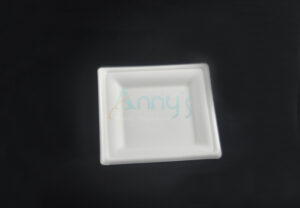6″x6″ Square Bagasse Biodegradable Trays-BGSP6