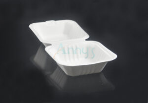 6″x6″ Biodegradable Bagasse Sugarcane Hamburg Container with Hinged Lid-BGC6