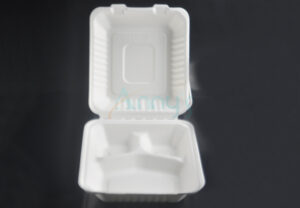 8″x8″ Biodegradable Compostable Bagasse Sugarcane Hinged Lid Container-BGC38