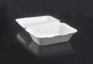 600ml Biodegradable Disposable Sugarcane Food Container with Hinged Lid-ABGC600