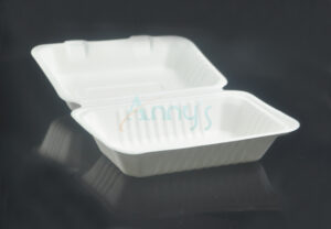 9"x6" bagasse sugarcane biodegradable compostable clamshell food containers