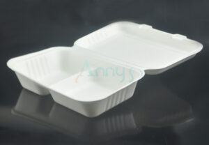 9"x6" bagasse biodegradable clamshell with two compartments, 9"x6"